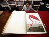 Самая дорогая в мире книга