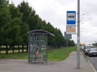 По Петербургу проедет 