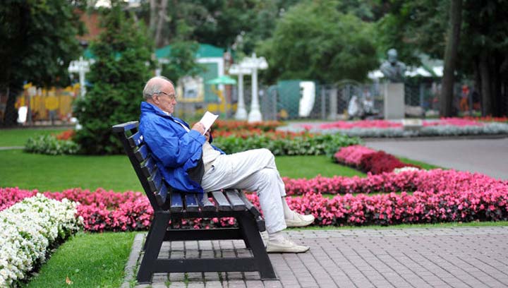 Чтение книг сохраняет «качество» тканей нашего мозга