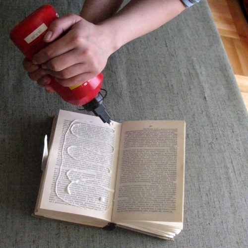 Книжная книжная полка