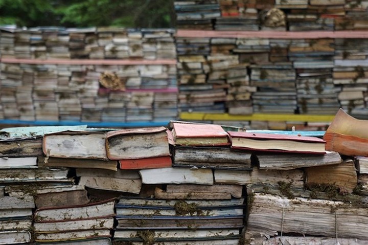 Возвращение книг в природу от Родни ЛаТуреля (Rodney LaTourelle) и Тило Фолкертса (Thilo Folkerts)