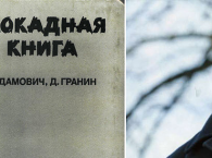 Новые главы 