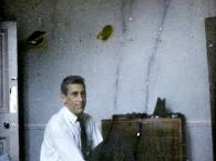 Все, что вы хотели знать о Сэлинджере