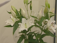  Сборник сочинений Блока из 12 томов готовится к печати 