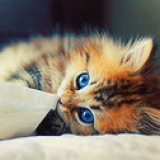 Марина Рубцова