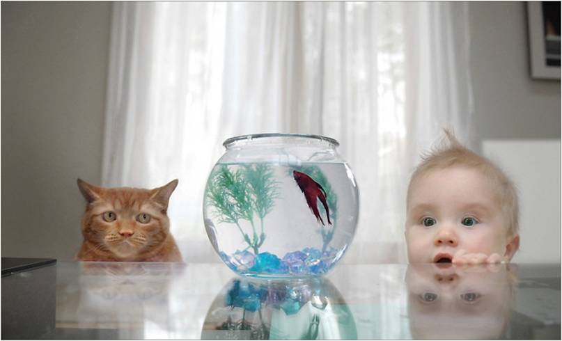 Obraz_poeticheskogo_mirovospriyatiya_htm