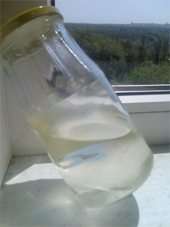 Prichina_avifkatastrof___voda_html_m4ff1