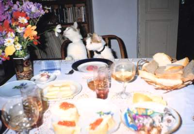 ZRCHF_i_ego__koampaniya_html_3eb8cfa7.jp