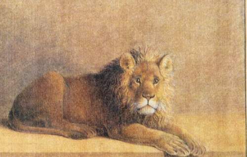 ZRCHF_i_ego__koampaniya_html_4700179a.jp