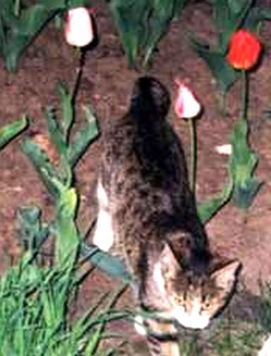 ZRCHF_i_ego__koampaniya_html_m484e3121.j