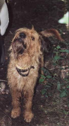 ZRCHF_i_ego__koampaniya_html_m5d11adcb.j