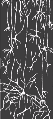 Noogenez_i_teoriya_intellekta_html_22182