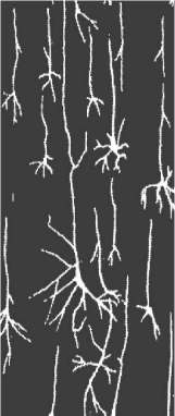 Noogenez_i_teoriya_intellekta_html_5155b