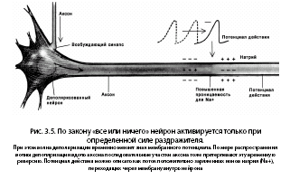 Noogenez_i_teoriya_intellekta_html_m1ab7