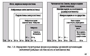 Noogenez_i_teoriya_intellekta_html_m28a0