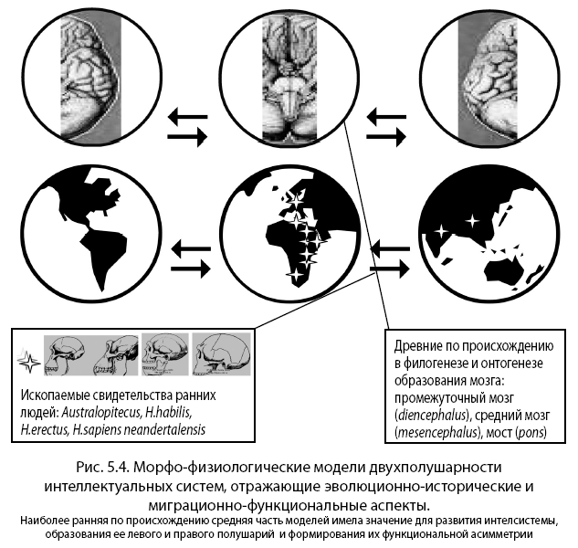Noogenez_i_teoriya_intellekta_html_m3069