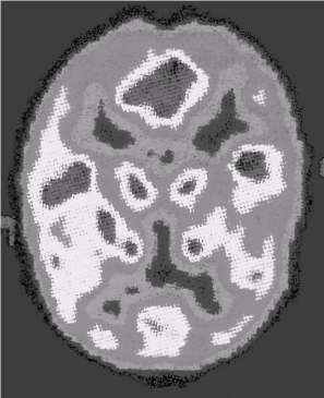 Noogenez_i_teoriya_intellekta_html_m3e5f