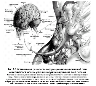Noogenez_i_teoriya_intellekta_html_m6696