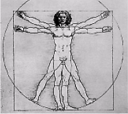 Noogenez_i_teoriya_intellekta_html_m6d25