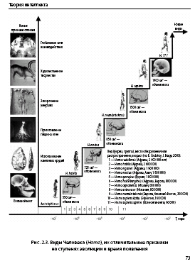 Noogenez_i_teoriya_intellekta_html_m75cd