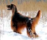 Vozvraschenie_k_okeanu_html_m4ca51fec.jp