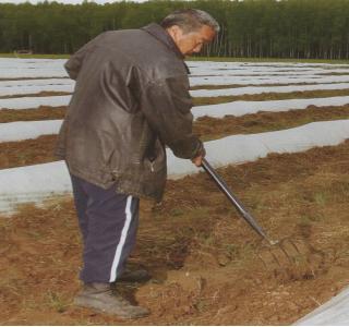 Idei_razvitiya_biznesa._Kak_sozdat_priby