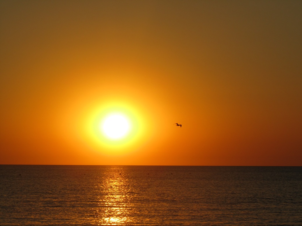 Prizrak_Svyatogo_semejstva_html_7a8f13cd