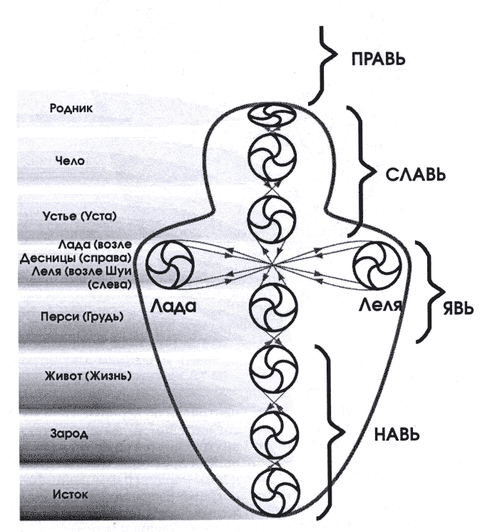 Vasha_zhizn___Vozvraschenie_domoj_html_4
