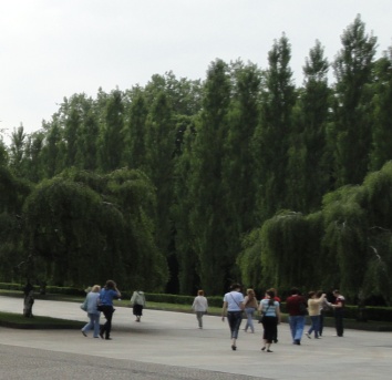 Pervyj_vzglyad_na_Evropu_chastI_html_m4d