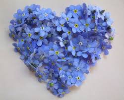 CHastushechki_pro_vseh_i_vsyo_html_m29b5