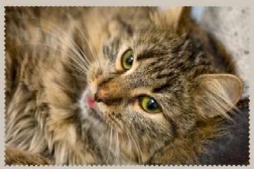 Zabavy_demiurnov__Filolozhki__1_html_ma1