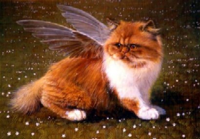 Sny_i_grezy_kota_Zahara_html_19063f55.jp