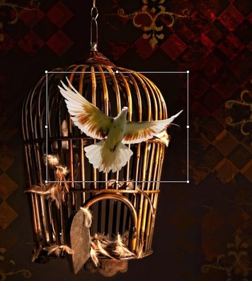 Zaveschanie_grafa_Monte_Kristo_html_5916