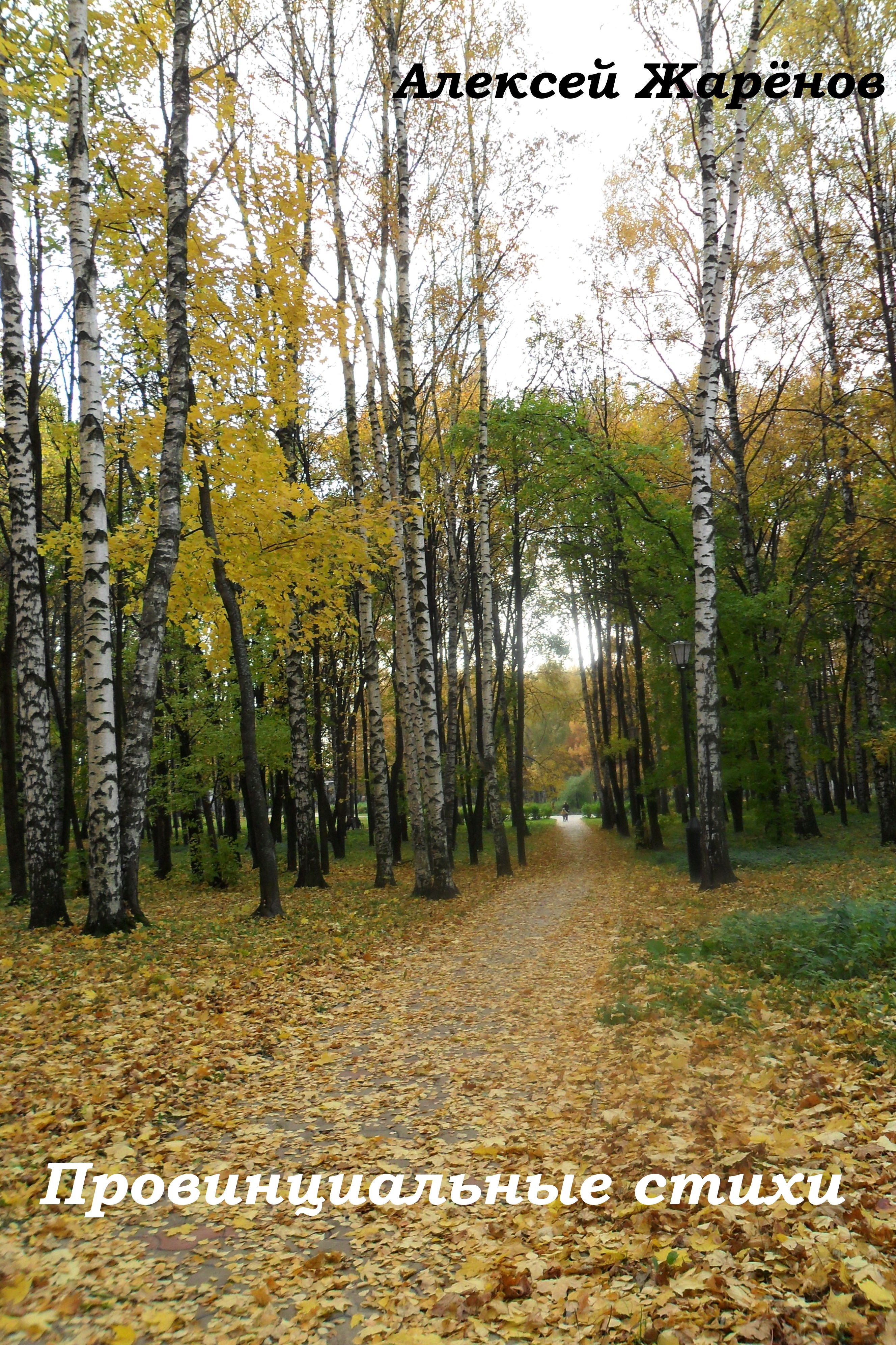 Provincialnye_stihi_html_m6b44fed6.jpg
