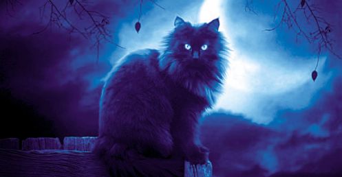 Rasskazy_o_koshke_Lyuske_html_64a45b90.j