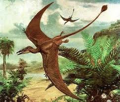 SKAZOCHNAYA_EVOLYUCIYA_O_tom_kak_ot_imen