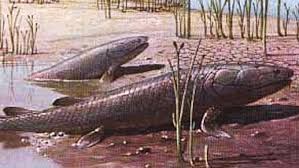 SKAZOCHNAYA_EVOLYUCIYA_O_tom_kak_ot_imen