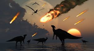 SKAZOCHNAYA_EVOLYUCIYA_O_tom_kak_ot_imen