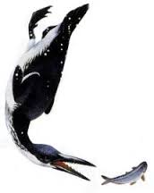 SKAZOCHNAYA_EVOLYUCIYA_O_tom_kak_ot_imen