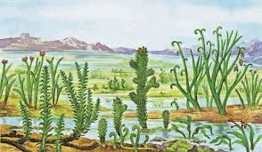 SKAZOCHNAYA_EVOLYUCIYA_O_tom_kak_ot_imen