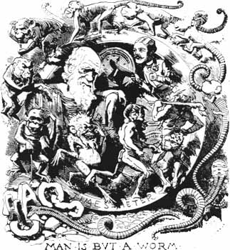 SKAZOCHNAYA_EVOLYUCIYA_O_tom_kak_ot_imen