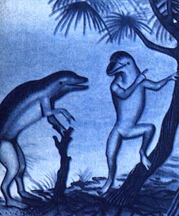 SKAZOCHNAYA_EVOLYUCIYA_O_tom_kak_ot_imen