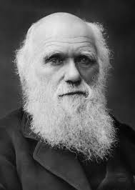 SKAZOCHNAYA_EVOLYUCIYA_O_tom_kak_ot_imen