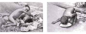 SKAZOCHNAYA_EVOLYUCIYA_O_tom_kak_ot_imen