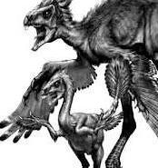 SKAZOCHNAYA_EVOLYUCIYA_O_tom_kak_ot_imen