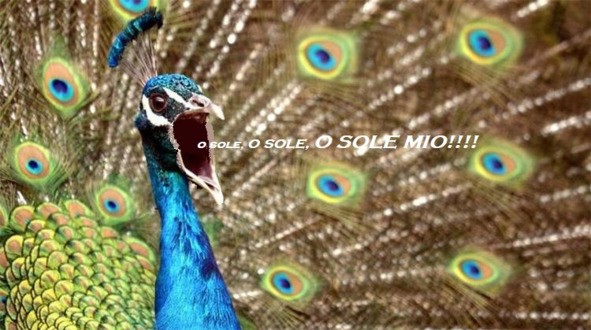 Deverbvzbzdec__Antiboltolgin_po_receptu_