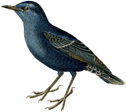 Diagnostika_slogovoj_struktury_slova_u_d