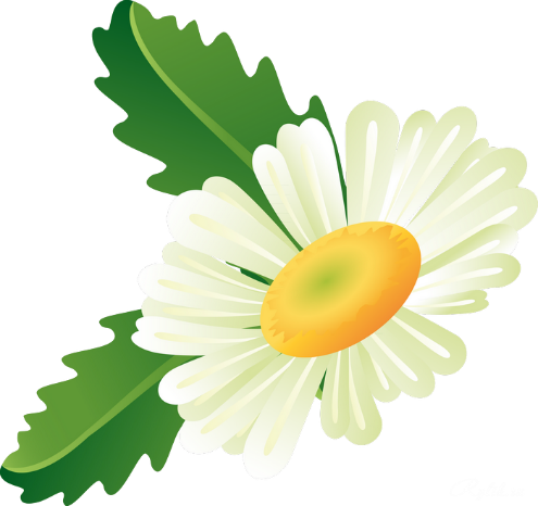 Diagnostika_slogovoj_struktury_slova_u_d