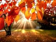 Лучшие книги октября по версии ЛитРес